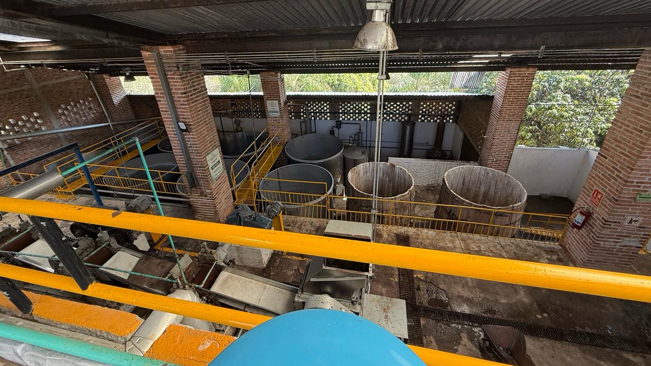 Vista interior de la sala de fermentación, donde las levaduras endémicas de la barranca trabajan el mosto