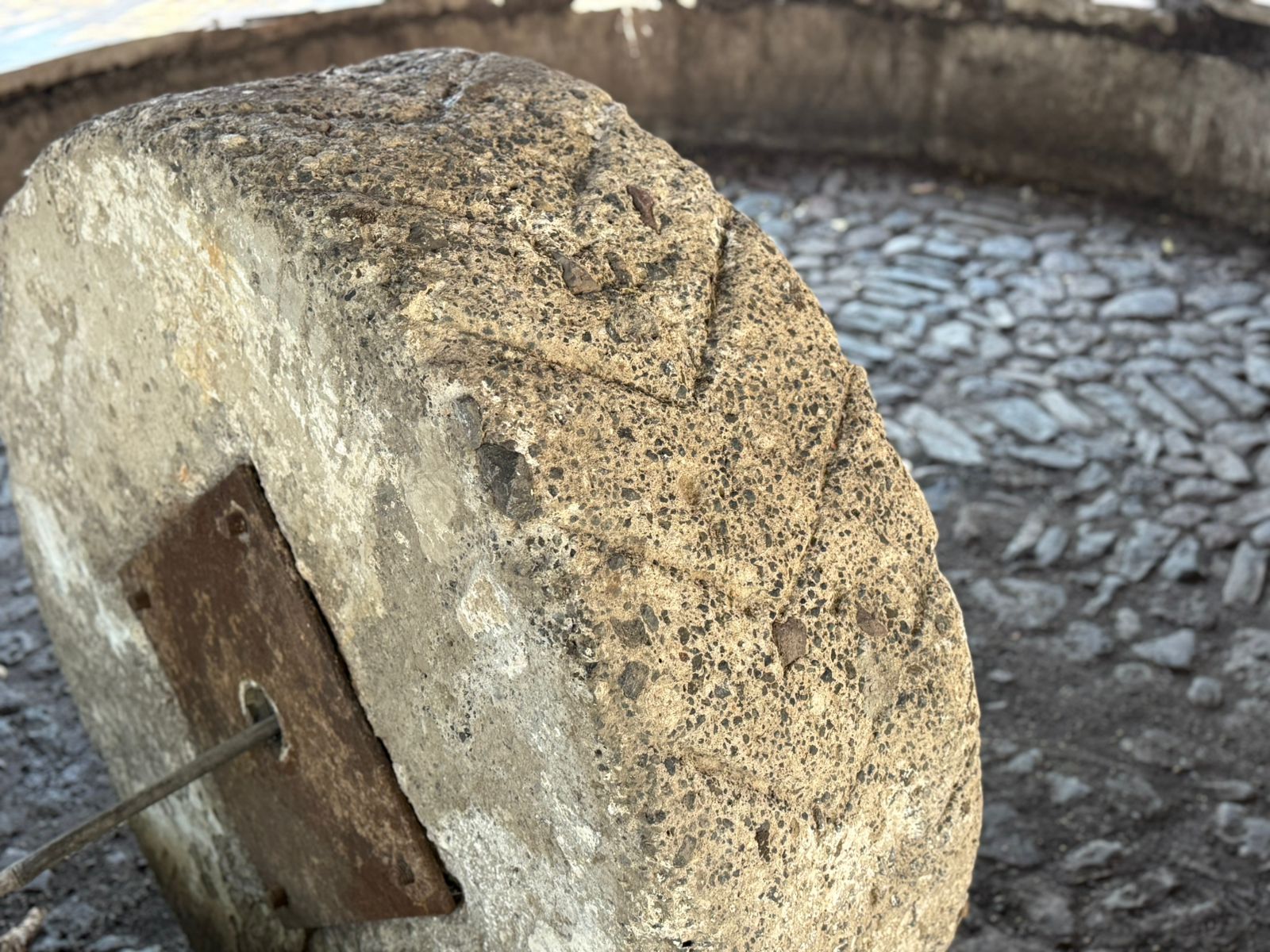 Piedra tahona de basalto triturando piña de agave, Tequilera de la Barranca de Amatitán